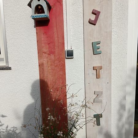 Gesundheitshotel Haus Sonnenstein ザーレム エクステリア 写真
