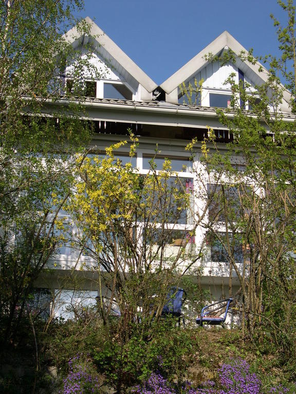 Gesundheitshotel Haus Sonnenstein ザーレム エクステリア 写真